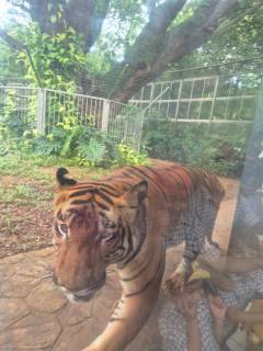 WhatsApp Image 2024-06-29 at 09.54.04 (1)