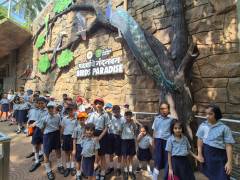 WhatsApp Image 2024-06-29 at 09.54.04